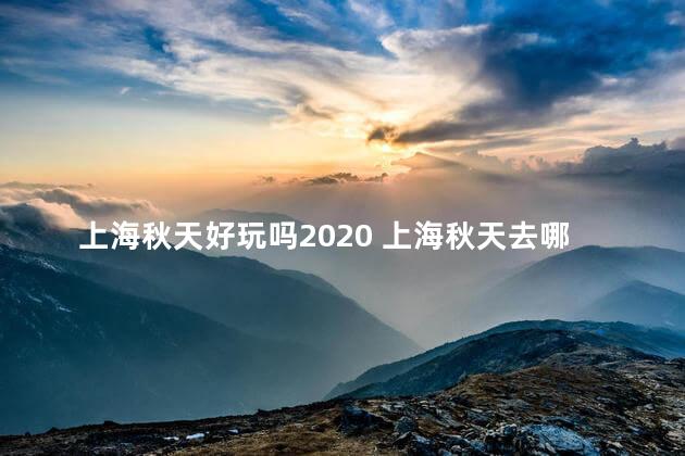 上海秋天好玩吗2020 上海秋天去哪玩